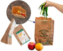 Bag to Earth Small Food Waste Bags 30-Pack Compostable Bag Leak Resistant 12in x 7.5in x 4.25in