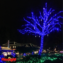 Flexilight 50 Count Faceted G12 Raspberry LED String Light Set 25Ft Green Wire Outdoor Decoration Christmas Tree Patio Garden Yard UL Listed (Purple)