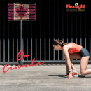 Flexilight Lighted Canadian Flag Patriotic Rope Light Motif 120V for Canada Day Remembrance Day Indoor Outdoor Home Decoration Fence Patio Window