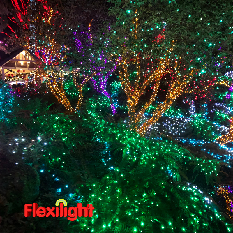 Flexilight 50 Count Faceted G12 Raspberry LED String Light Set 25Ft Green Wire Outdoor Decoration Christmas Tree Patio Garden Yard UL Listed (Green)