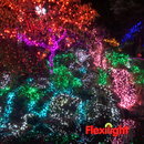 Flexilight 50 Count Faceted G12 Raspberry LED String Light Set 25Ft Green Wire Outdoor Decoration Christmas Tree Patio Garden Yard UL Listed (Green)