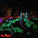Flexilight 50 Count Faceted G12 Raspberry LED String Light Set 25Ft Green Wire Outdoor Decoration Christmas Tree Patio Garden Yard UL Listed (Purple)
