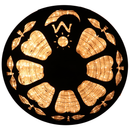 Flexilight LED Rope Light 120V 2-Wire 3/8" 10mm Diameter 45m 150Ft Indoor Outdoor ETL cETL 2700K