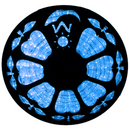 Flexilight LED Rope Light 120V 2-Wire 3/8" 10mm Diameter 45m 150Ft Indoor Outdoor ETL cETL Blue