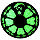 Flexilight LED Rope Light 120V 2-Wire 3/8" 10mm Diameter 45m 150Ft Indoor Outdoor ETL cETL Green