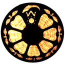 Flexilight LED Rope Light 120V 2-Wire 1/2" 150Ft Orange