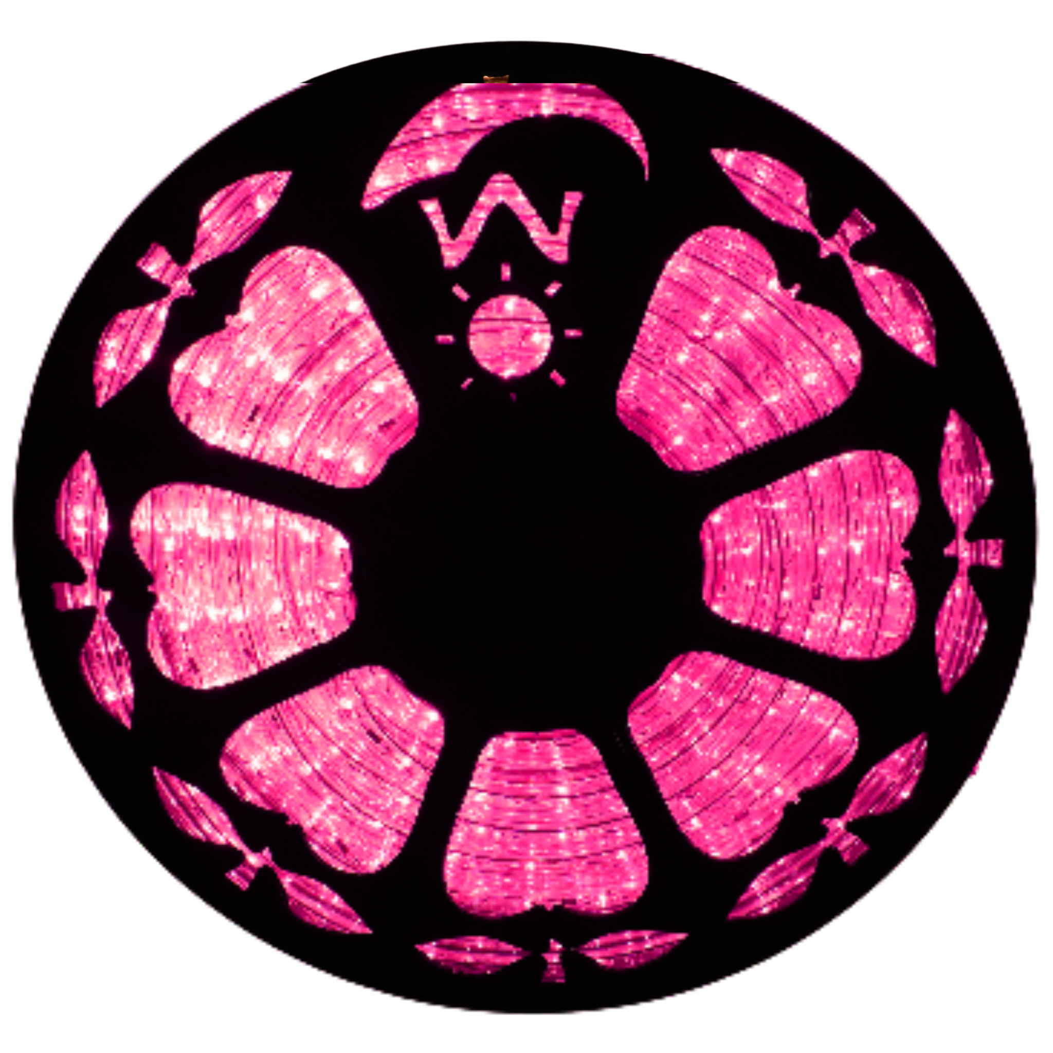 Flexilight LED Rope Light 120V 2-Wire 1/2