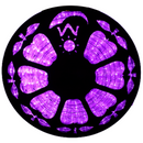 Flexilight LED Rope Light 120V 2-Wire 3/8" 10mm Diameter 45m 150Ft Indoor Outdoor ETL cETL