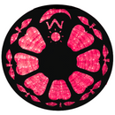 Flexilight LED Rope Light 120V 2-Wire 3/8" 10mm Diameter 45m 150Ft Indoor Outdoor ETL cETL Red