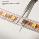 Flexilight 50m 164Ft RGB SMD5050 LED Strip Light Rope Light Neon Light 8×16mm 4-Wire 22Lm/LED High Output 60LED/m 120V Indoor Outdoor ETL cETL Color Changing